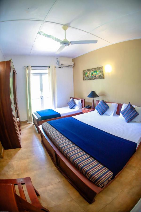 Funk Bunk - Mount View Lodge كاندي المظهر الخارجي الصورة