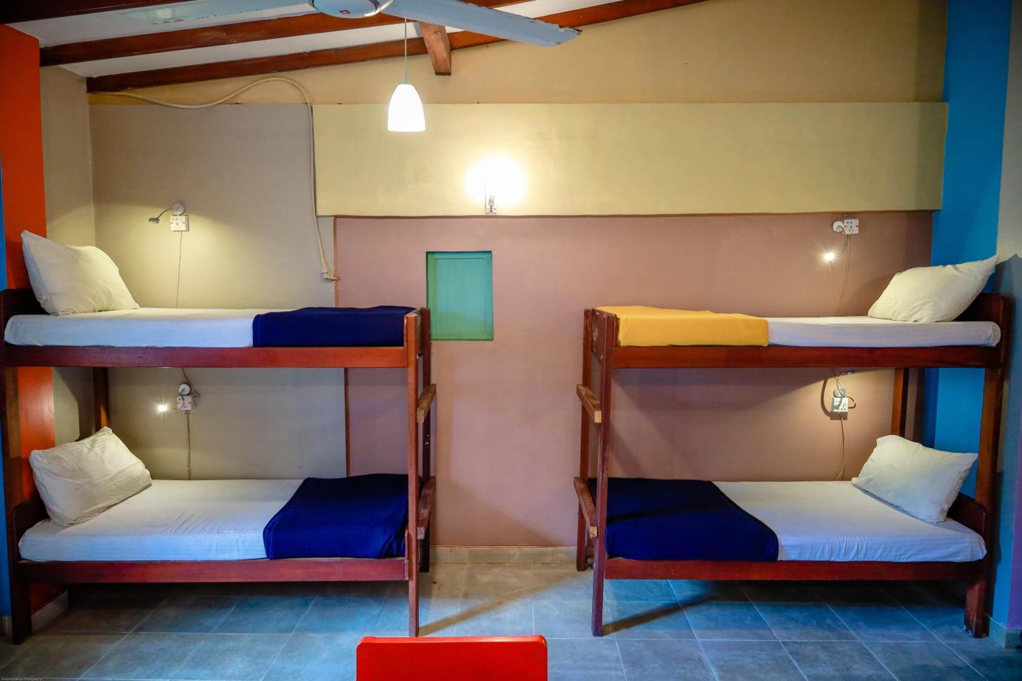 Funk Bunk - Mount View Lodge كاندي المظهر الخارجي الصورة